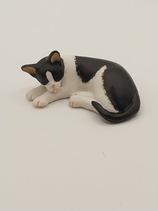 Cat Sleeping, Black & White