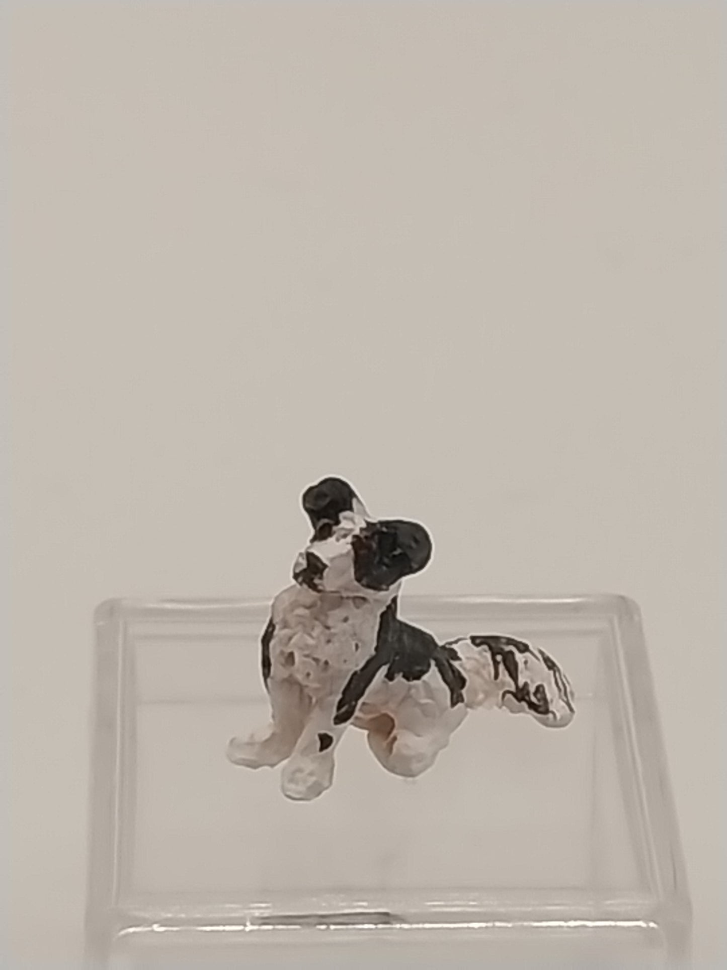 1/4" Scale Collie Dog, Black & White
