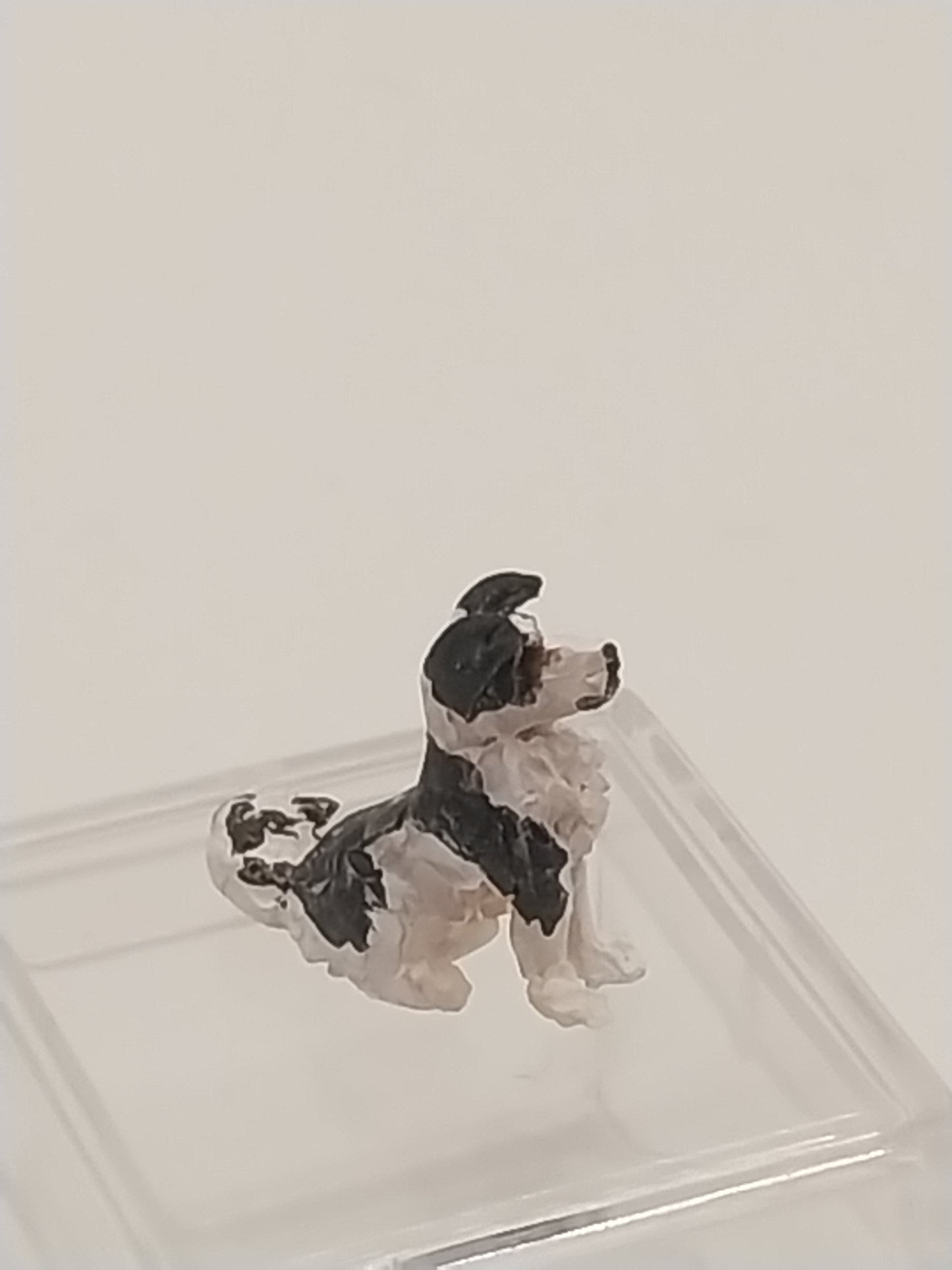1/4" Scale Collie Dog, Black & White