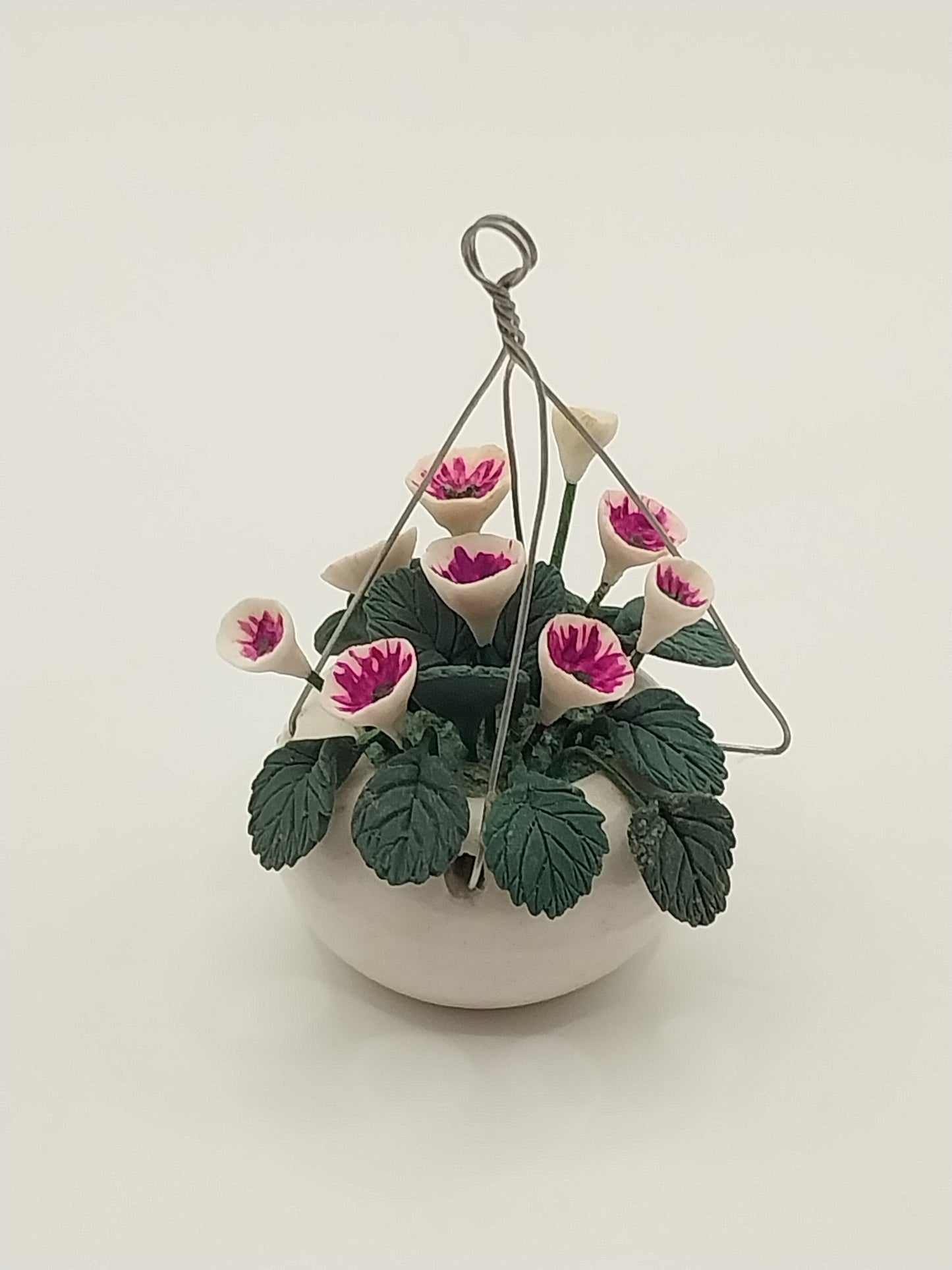 Hanging Pot With Purple Morning Glories
