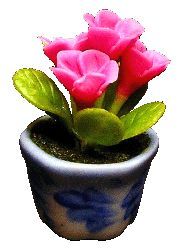 Violets In Pot, Pink