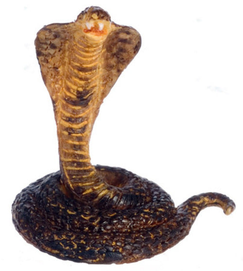 King Cobra Snake