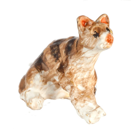 1/4" Scale Cat, Brown