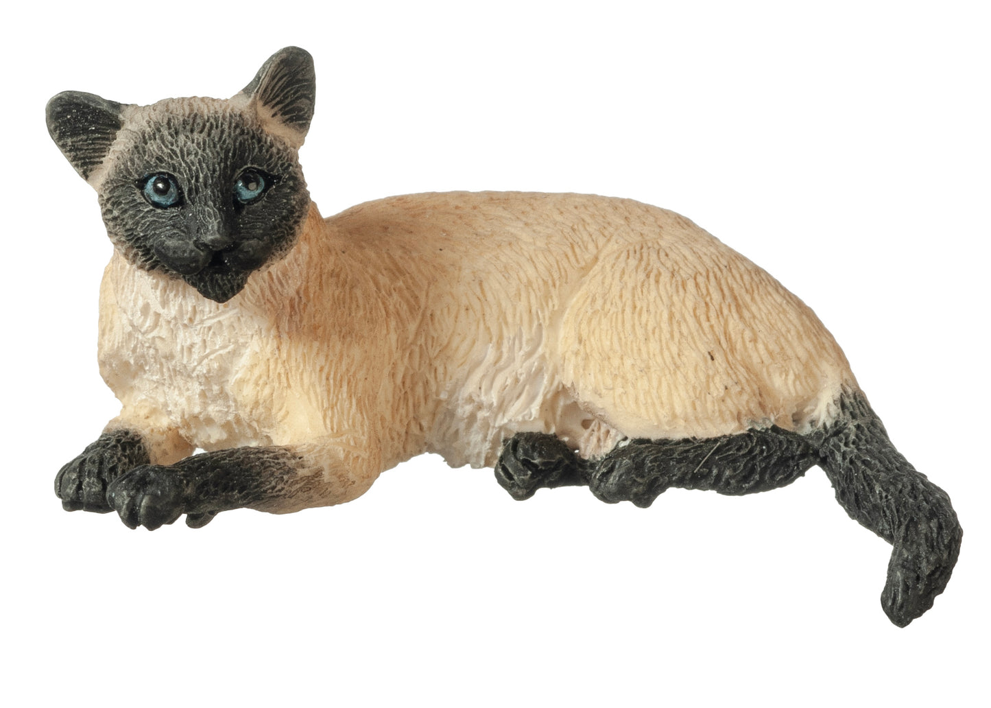 Cat, Siamese, Laying