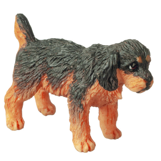 Rottweiler Puppy Dog, Standing