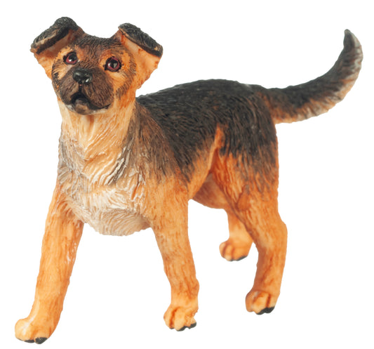 Dog, Mixed Breed Shepherd, Standing