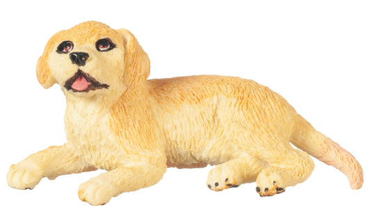 Yellow Lab Puppy Dog, Laying