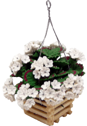 White Geraniums in Hanging Basket