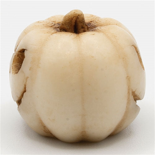 White Pumpkin, Jack O Lantern