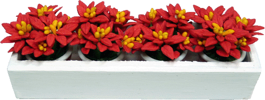 Poinsettias In White Window Box