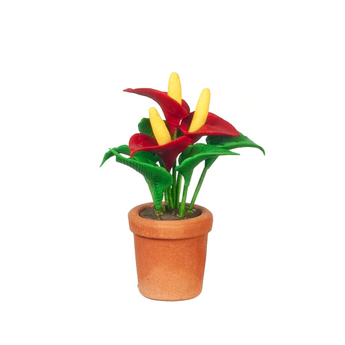 Anthurium Flower In Pot, Red