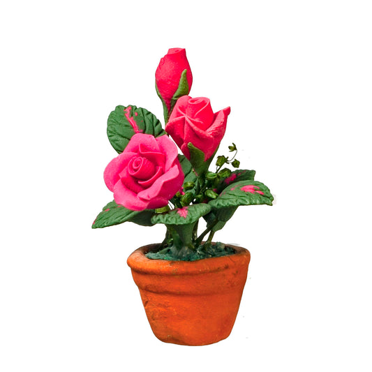 Roses In Pot, Pink