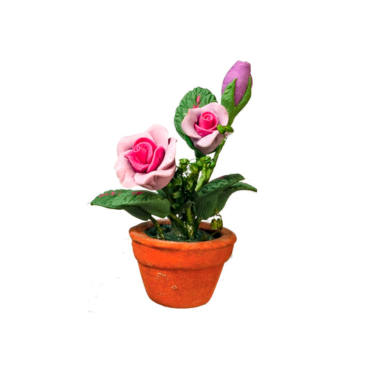 Roses In Pot, Violet & Pink