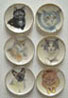 Cat Plate Set, 6pc