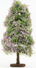 Lilac Bush, Large