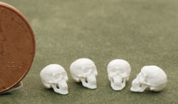1/4" Scale Skulls Kit, 4pc