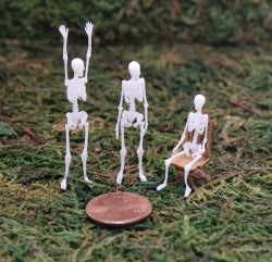 1/4" Scale Skeleton, Sitting