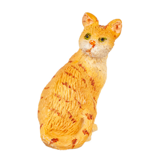 Cat Looking Back, Orange