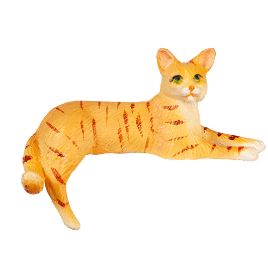 Cat, Back Leg Down, Orange