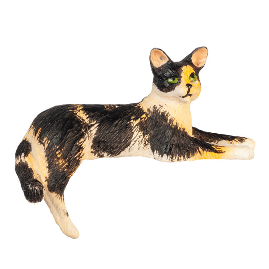 Cat, Back Leg Down, Calico