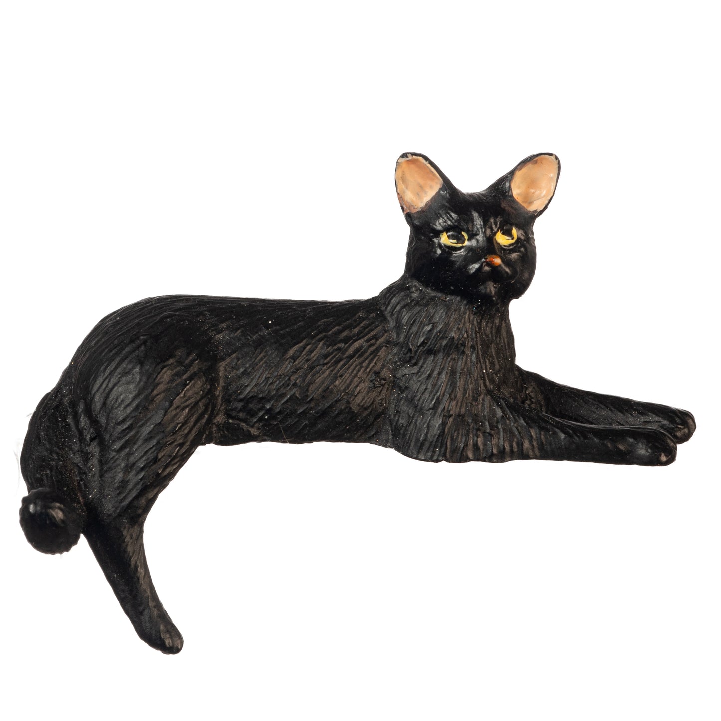 Cat, Back Leg Down, Black