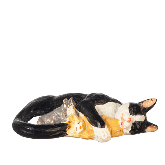 Cat Sleeping with Kittens, Black & White