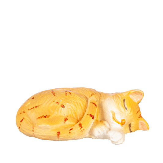 Cat, Laying Sleeping, Orange