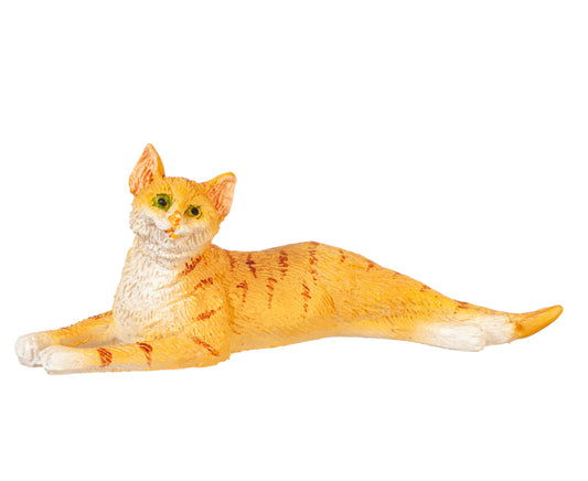 Cat, Stretched, Orange