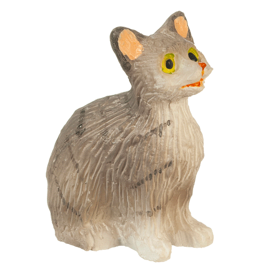 Cat, Sitting With Eyes Open, Gray