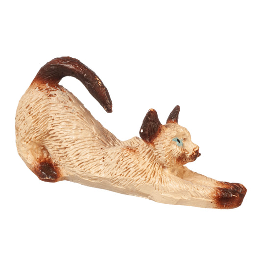 Cat, Stretching, Siamese
