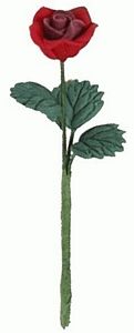Single Red Rose with Leaves
