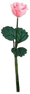 Single Pink Rose with Leaves