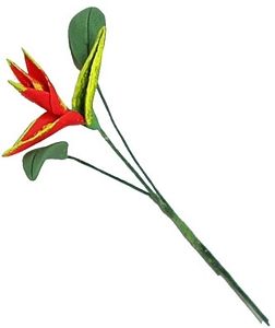 Red Bird Of Paradise with Leaves