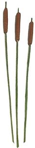 Set Of 3 Cattails