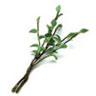 Dark Green Small Stem, 1pc