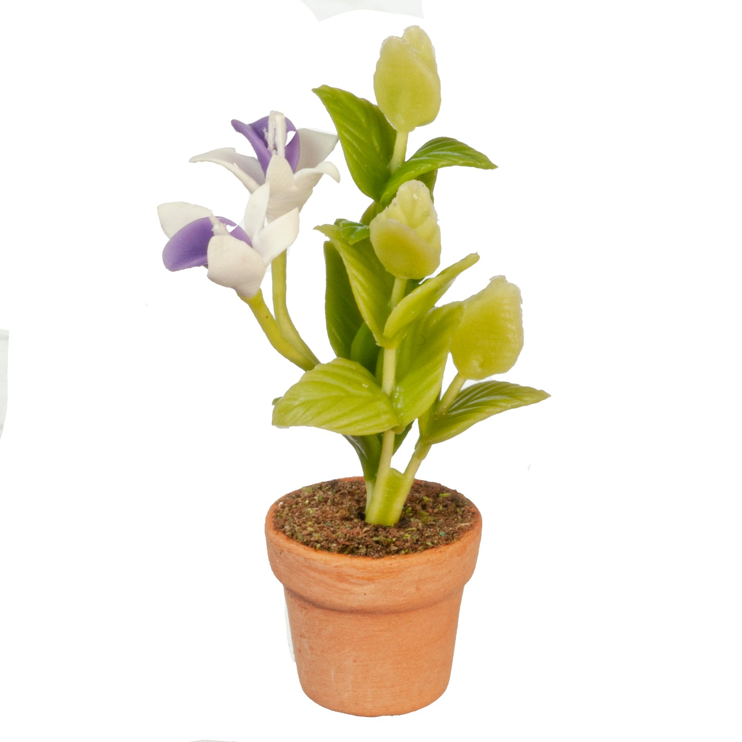 Flowers In Pot, White