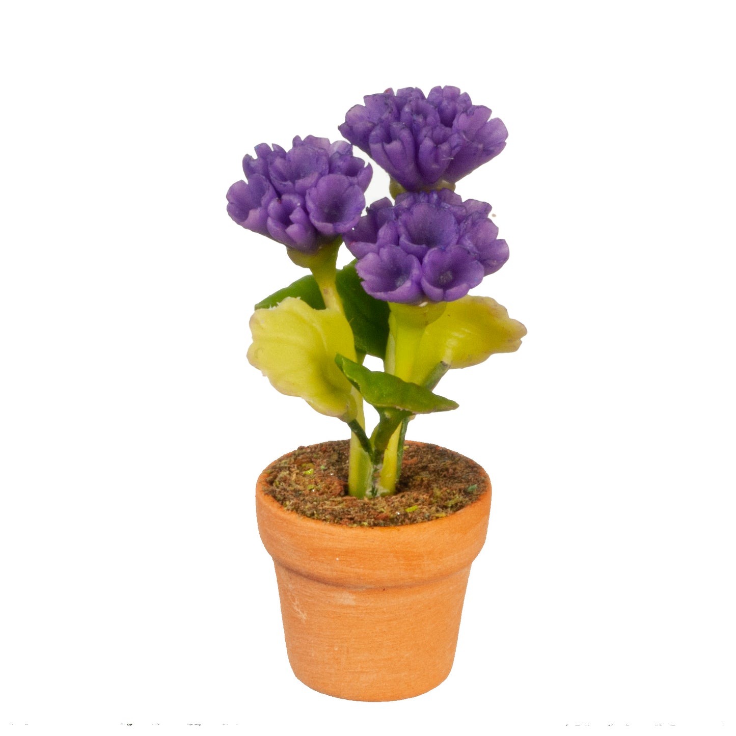 Flowers In Pot, Purple