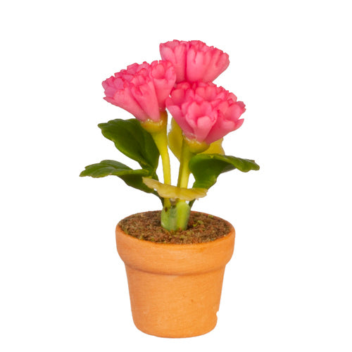 Potted Flower, Pink