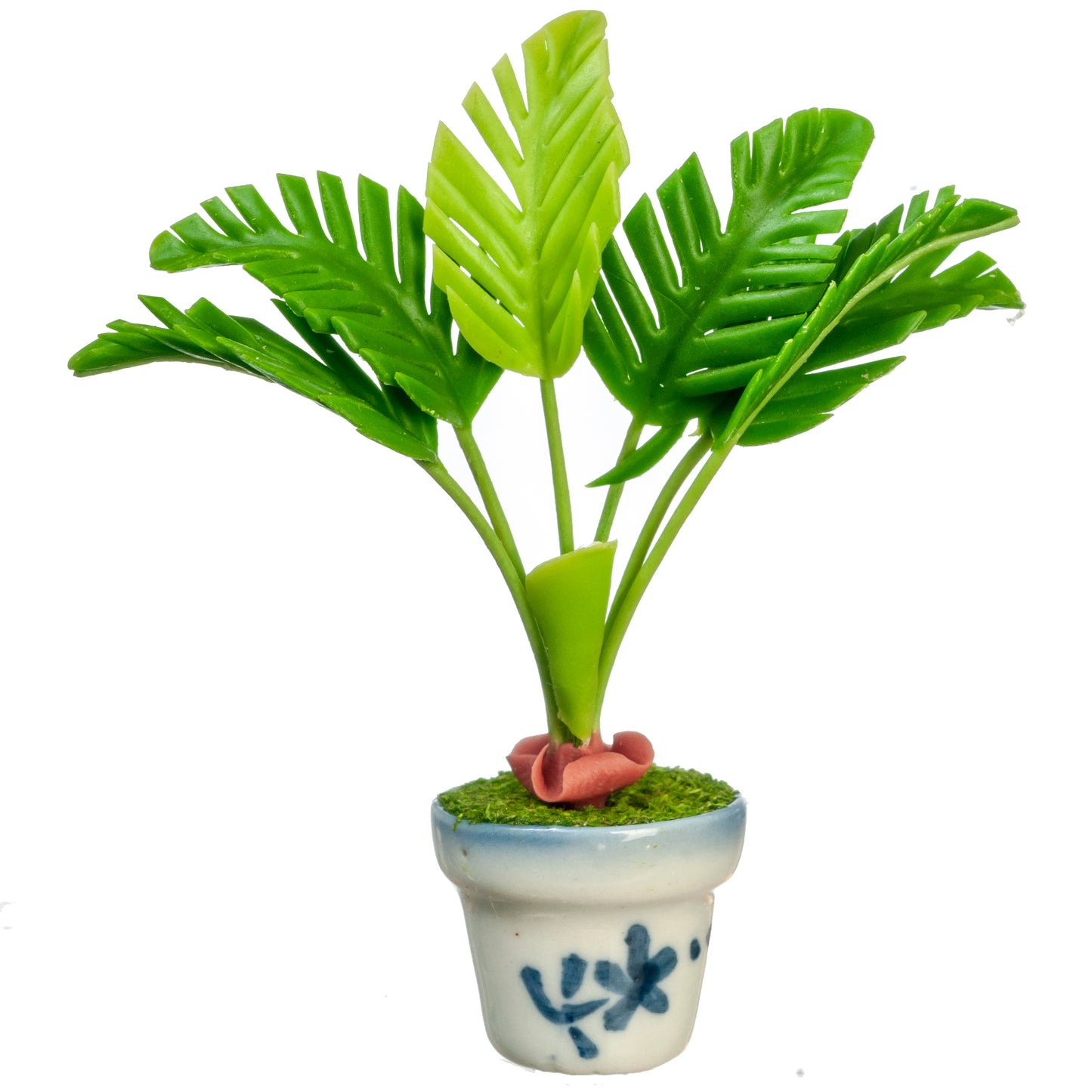 Palm Tree Plant in Pot