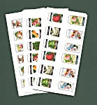 Seed Packet Kit, Fruit, Veggies