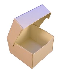 Cake Box (Empty)