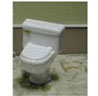 Toilet Kit, Silver Handle, Clear
