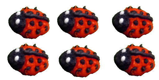 6 Tiny Ladybugs