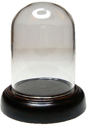 Large Dome On Wood Base