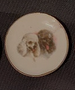 Dog Plate, Double, Assorted, 1pc