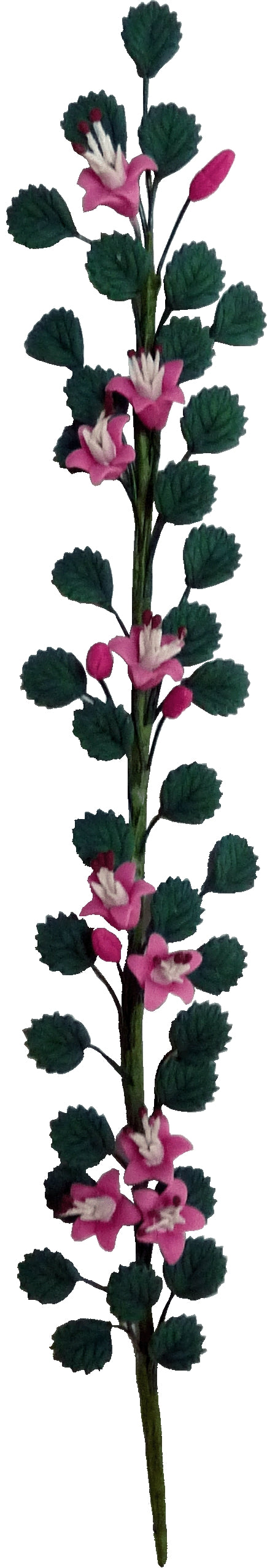 Pink Flowers Trailing Vine