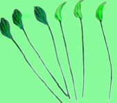 Green Petals, 12 pieces