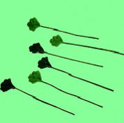 Green Petals, 12 piecs