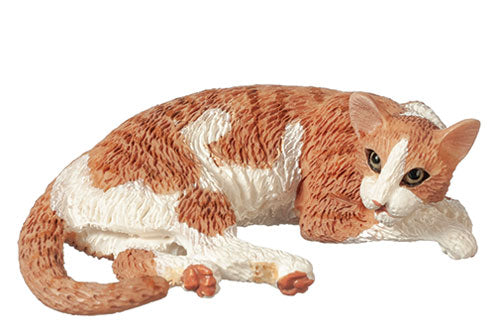 Cat, Orange & White Tabby, Laying