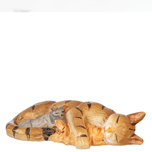 Cat Sleeping with Kittens, Tabby